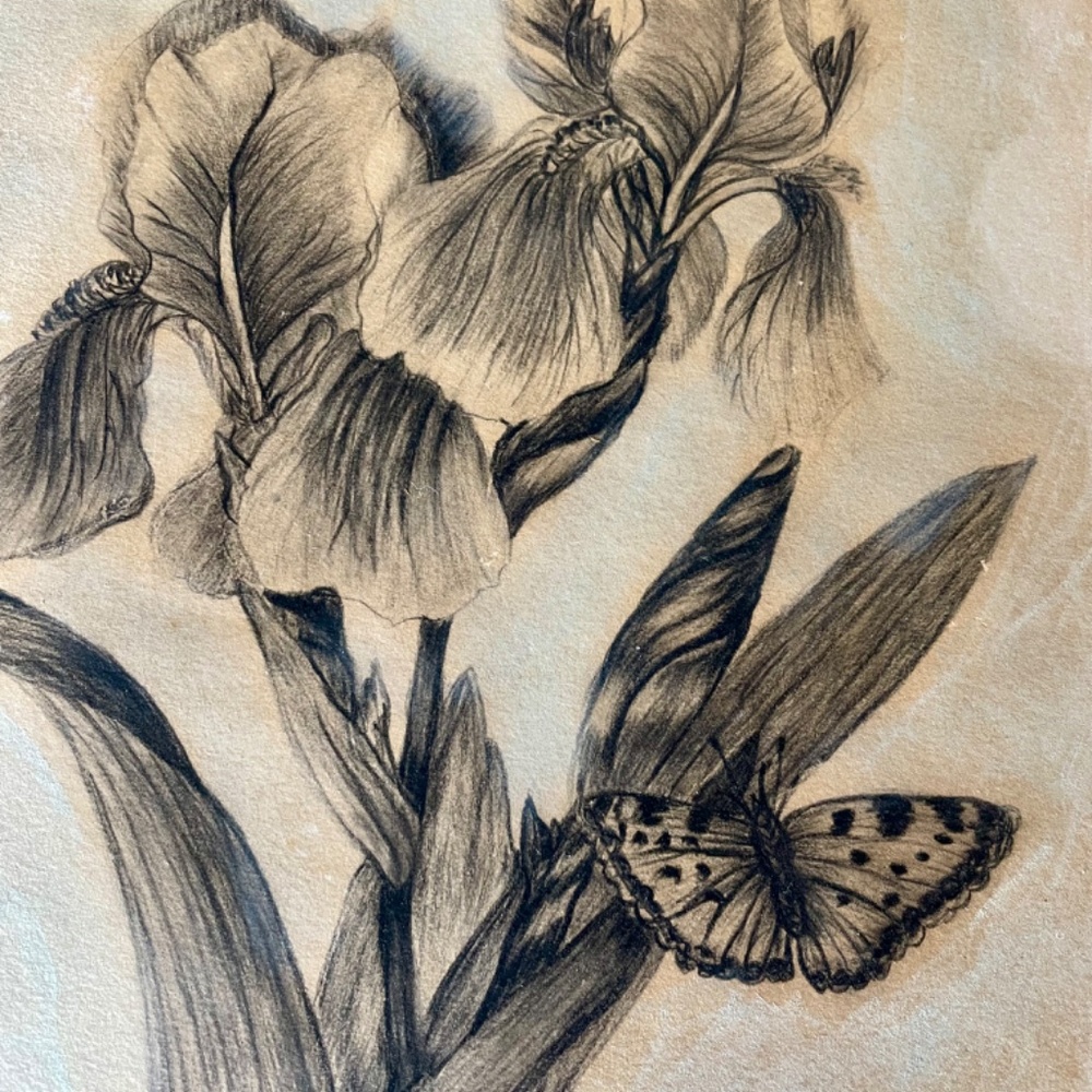 Very Old Original Drawing - Picture 4 of 6